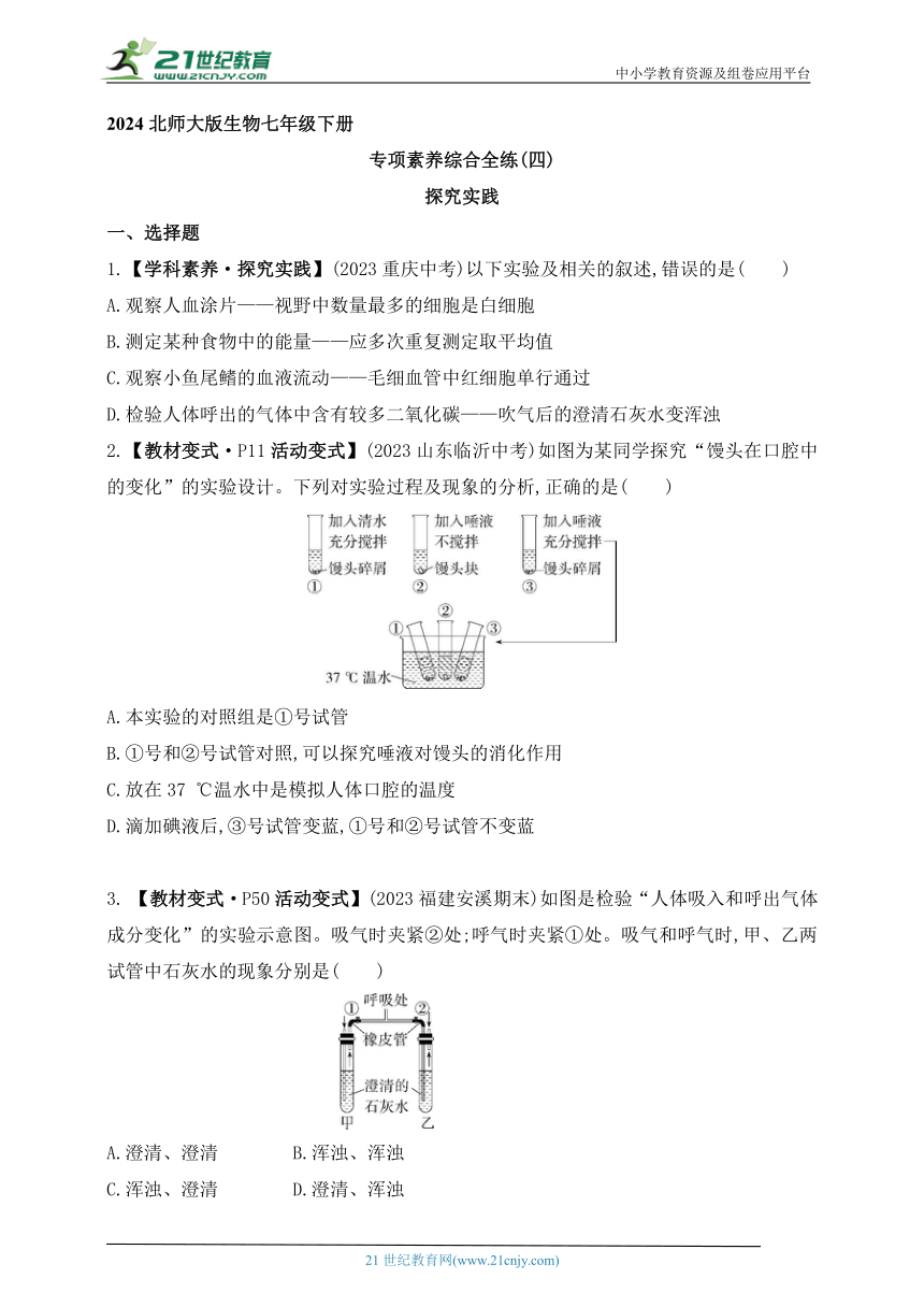 探索2024天天彩正版免费资料的世界——词语释义与落实解析