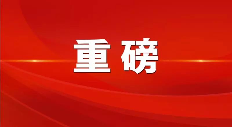 2025正板资料免费公开|全面贯彻解释落实